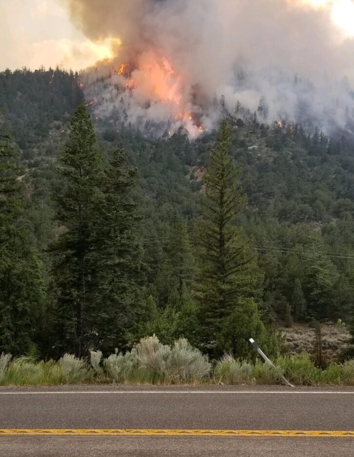 Trail Ridge Fire Trail Mountain fire update | News, Sports, Jobs - Daily Herald